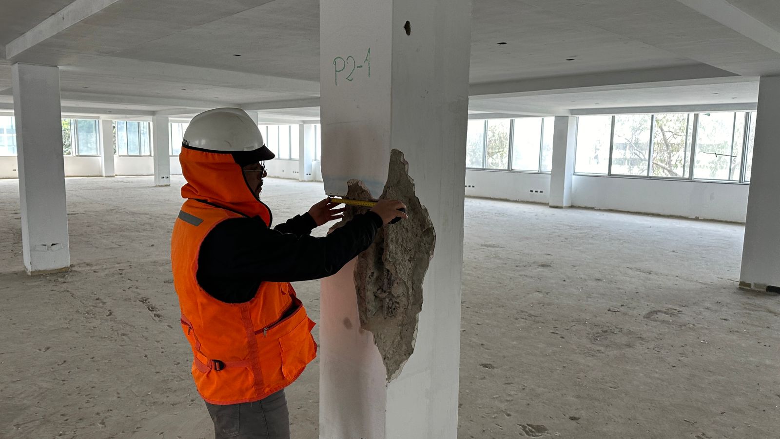 Evaluación Estructural Vitta 1